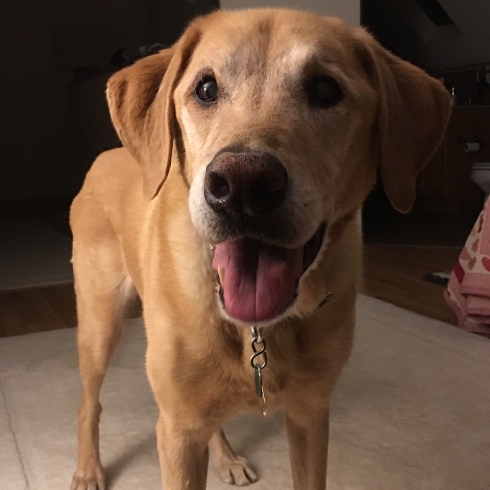 Meet your Posher, Jen